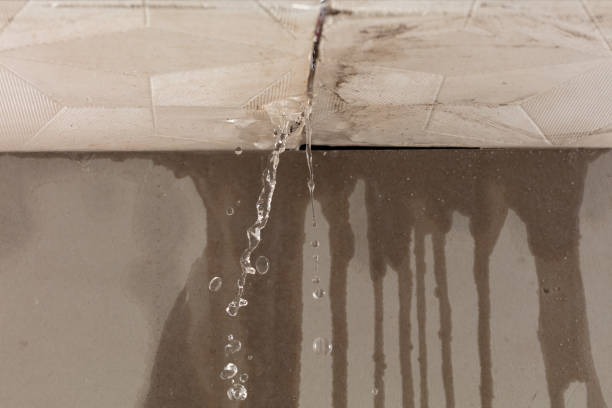 Professional Structural Drying technician working in Mazeppa, MN